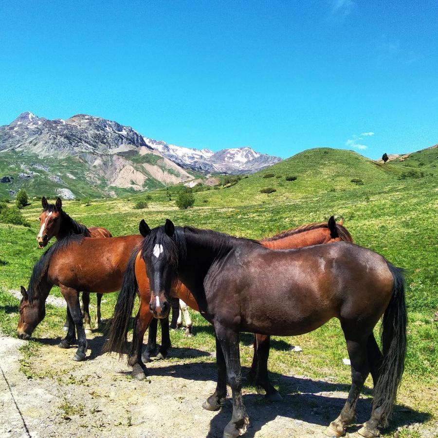 El Estacho De Panticosa Daire Dış mekan fotoğraf