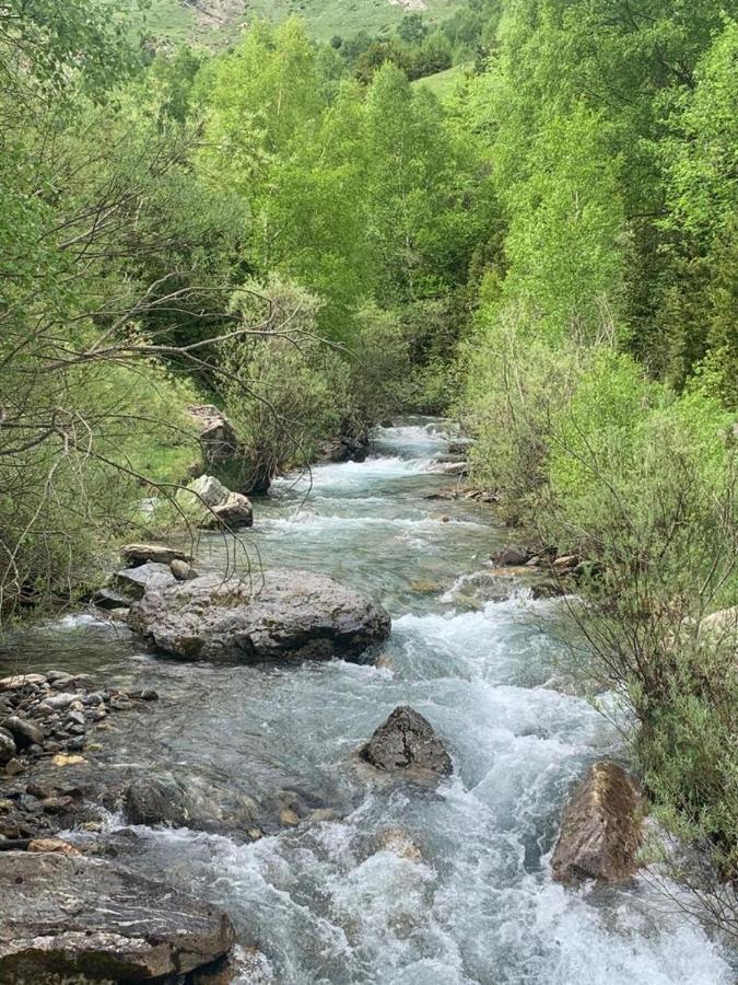 El Estacho De Panticosa Daire Dış mekan fotoğraf