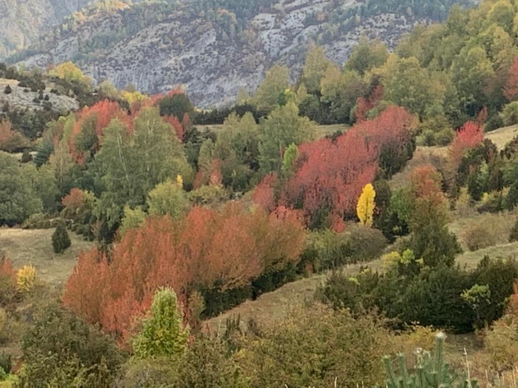 El Estacho De Panticosa Daire Dış mekan fotoğraf